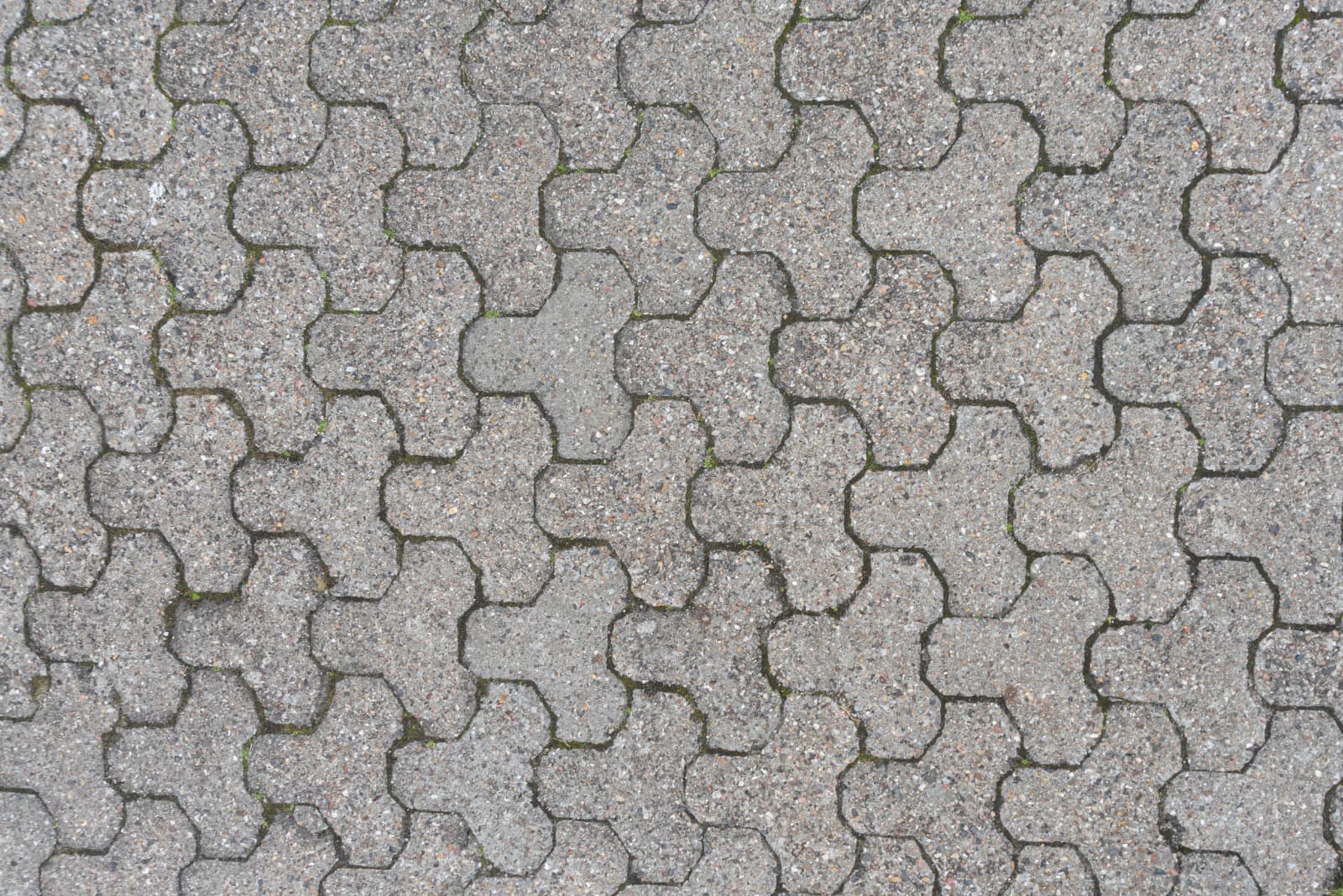 Project Image 1